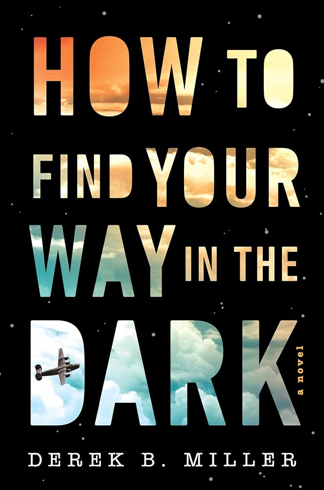 How To Find Your Way In The Dark (A Sheldon Horowitz Novel, 1) cover image