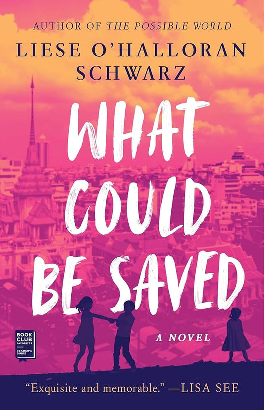 What Could Be Saved: A Novel cover image