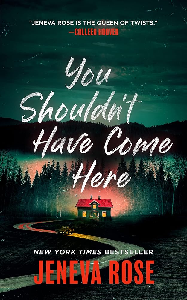 You Shouldn't Have Come Here cover image