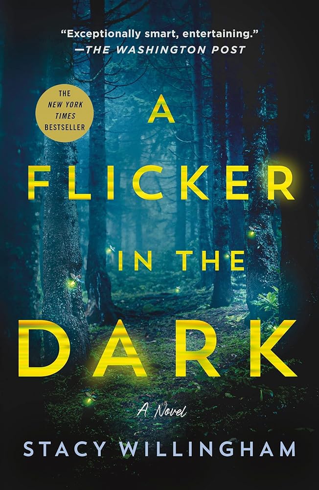 Flicker in the Dark cover image